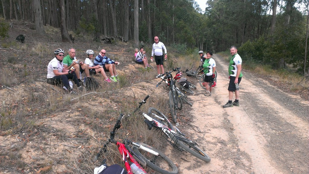 Goldfields Bike Tours | 184 Tindals Rd, Park Orchards VIC 3472, Australia | Phone: 0418 303 065