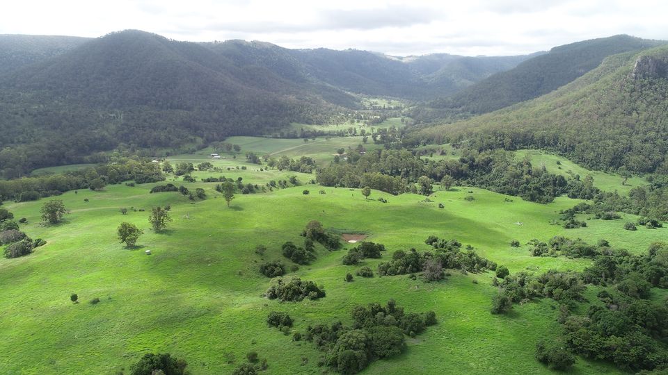 Wynola Country Cousins | 586 Condamine River Rd, Killarney QLD 4373, Australia | Phone: 0419 866 268