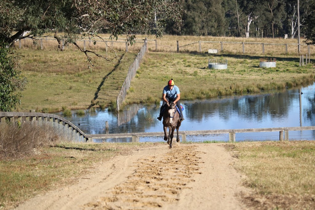 Hannover Lodge | 187 Putty Rd, Wilberforce NSW 2756, Australia | Phone: 0439 012 451