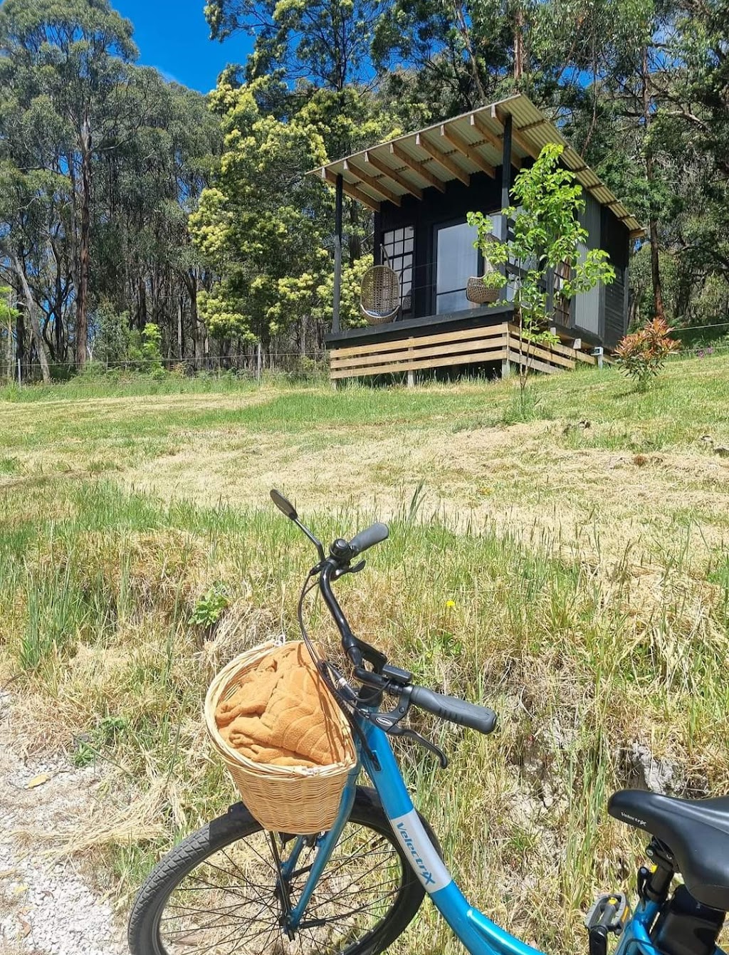 Bodysmith Muscle Therapy | Gills Ln, Forrest VIC 3236, Australia | Phone: 0477 206 749