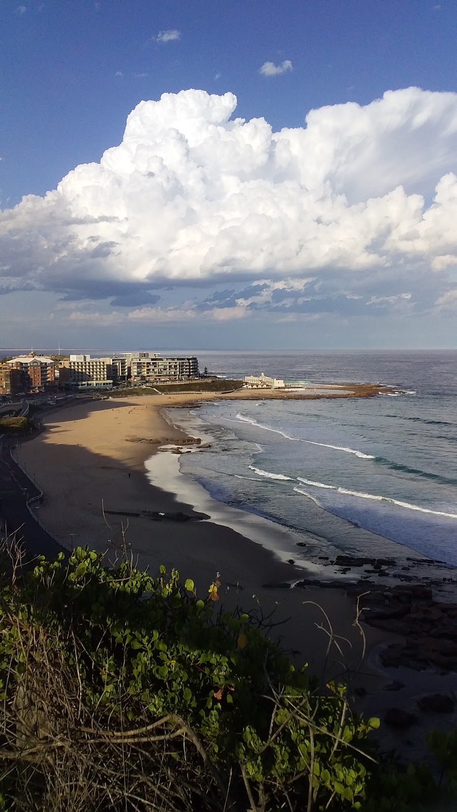 Anne Feneley Lookout | park | Cnr &, Watt St & Reserve Rd, Newcastle NSW 2300, Australia | 0249742807 OR +61 2 4974 2807