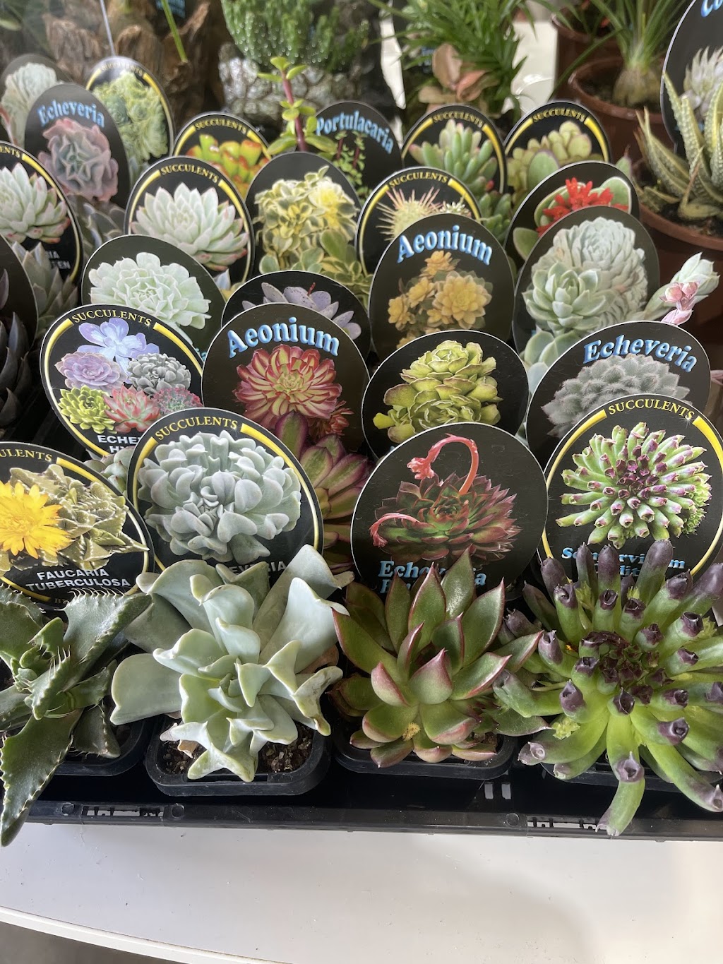 Aussie Outdoor Nursery & Emporium Ballarat | 9527 Western Fwy, Warrenheip VIC 3352, Australia | Phone: (03) 5331 8272