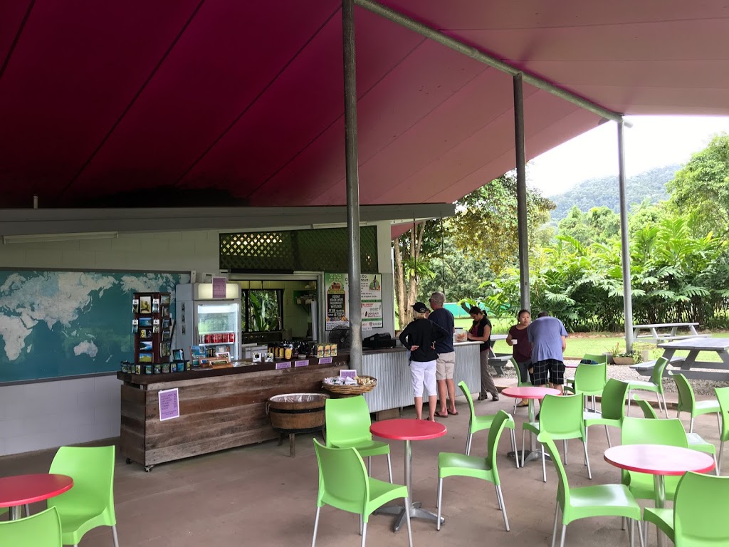 Daintree Ice Cream Company | store | 1819 Cape Tribulation Rd, Diwan QLD 4873, Australia | 0740989114 OR +61 7 4098 9114