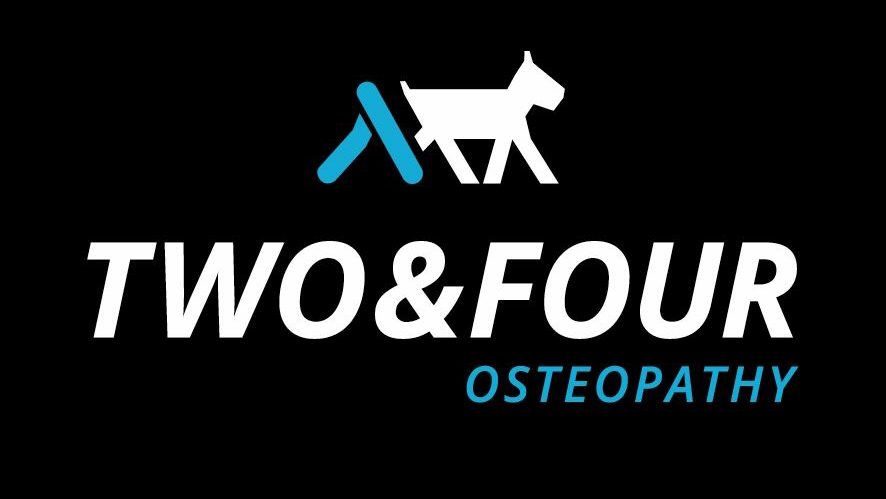 Two and Four Osteopathy | 105 Cherylnne Cres, Kilsyth VIC 3137, Australia | Phone: 0421 041 524