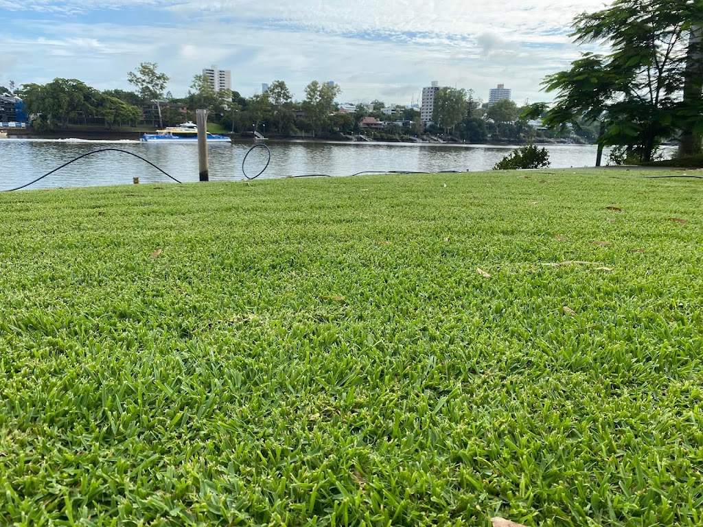 Coochie Hydrogreen Oxley, Springfield Lakes and Karalee | 19 Stanley St, North Booval QLD 4304, Australia | Phone: 0450 958 959