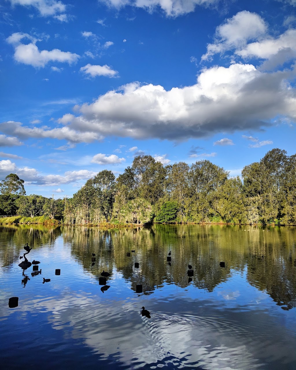 Toowoomba Waterbird Habitat | park | 10 Waterbird Dr, Rangeville QLD 4350, Australia | 0746886611 OR +61 7 4688 6611