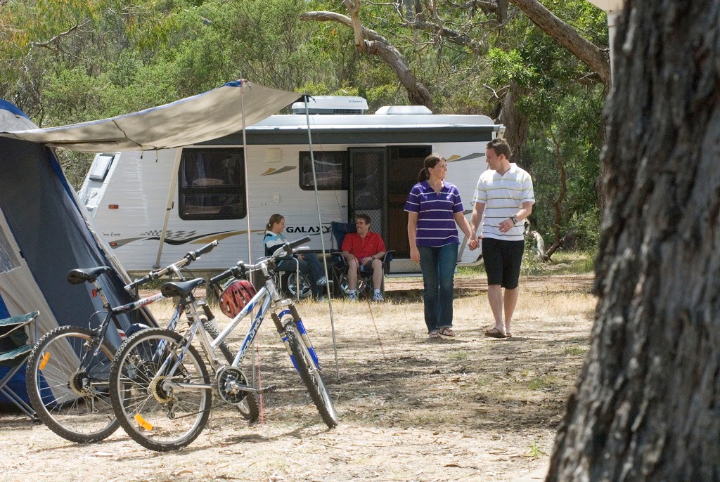 Wannon Falls | campground | Glenelg Highway, Wannon VIC 3301, Australia | 1800807056 OR +61 1800 807 056