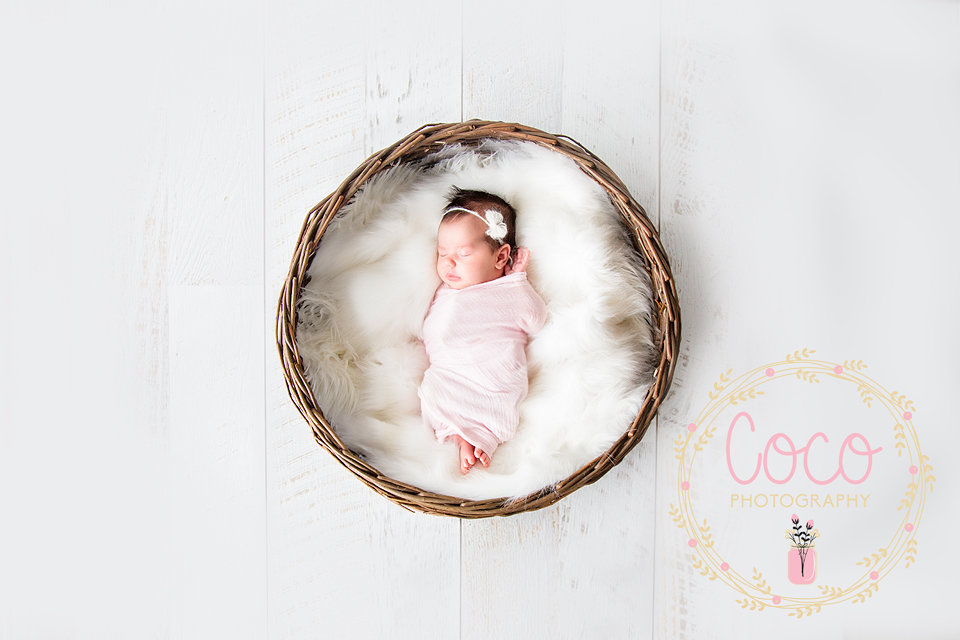 Coco Boutique Photography and Design | 37 Greenleaf Dr, Lara VIC 3212, Australia | Phone: 0414 488 465