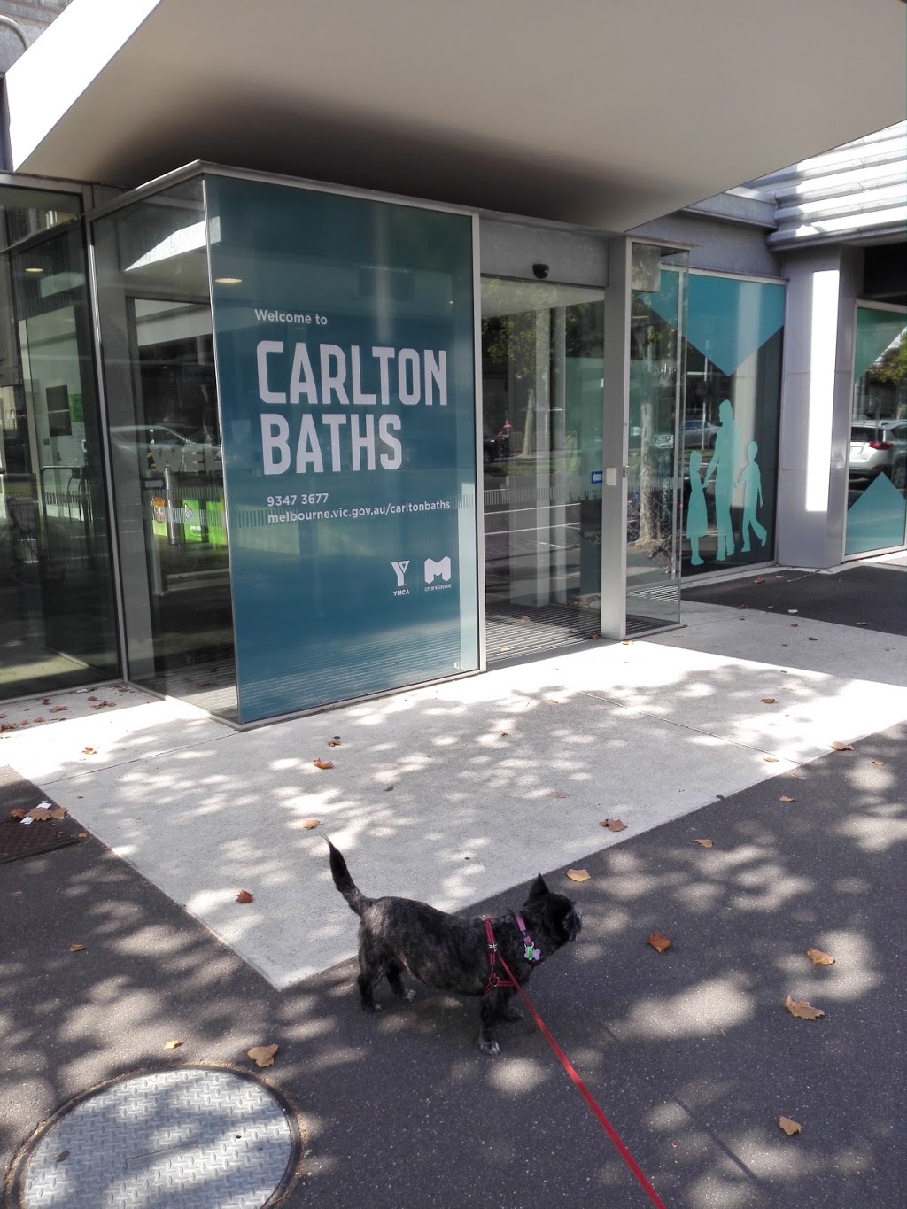 Carlton Baths | 216/248 Rathdowne St, Carlton VIC 3053, Australia | Phone: (03) 9347 3677