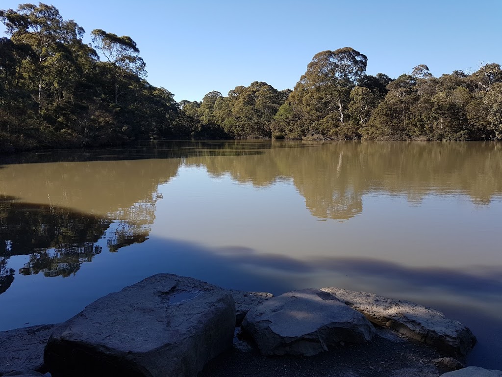 Blackburn Lake Sanctuary | park | Blackburn VIC 3130, Australia | 0398984802 OR +61 3 9898 4802