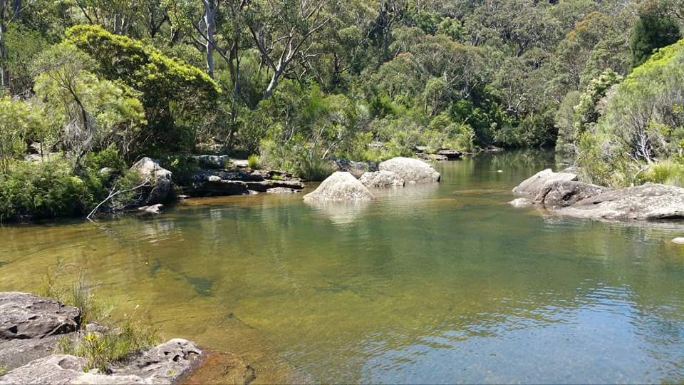 Engadine Track | Engadine Track, Royal National Park NSW 2233, Australia