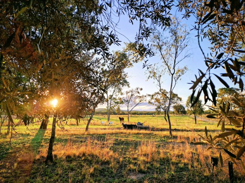 Sky Camp | 940 Camp Creek Rd, Atholwood NSW 2361, Australia | Phone: 0414 355 522