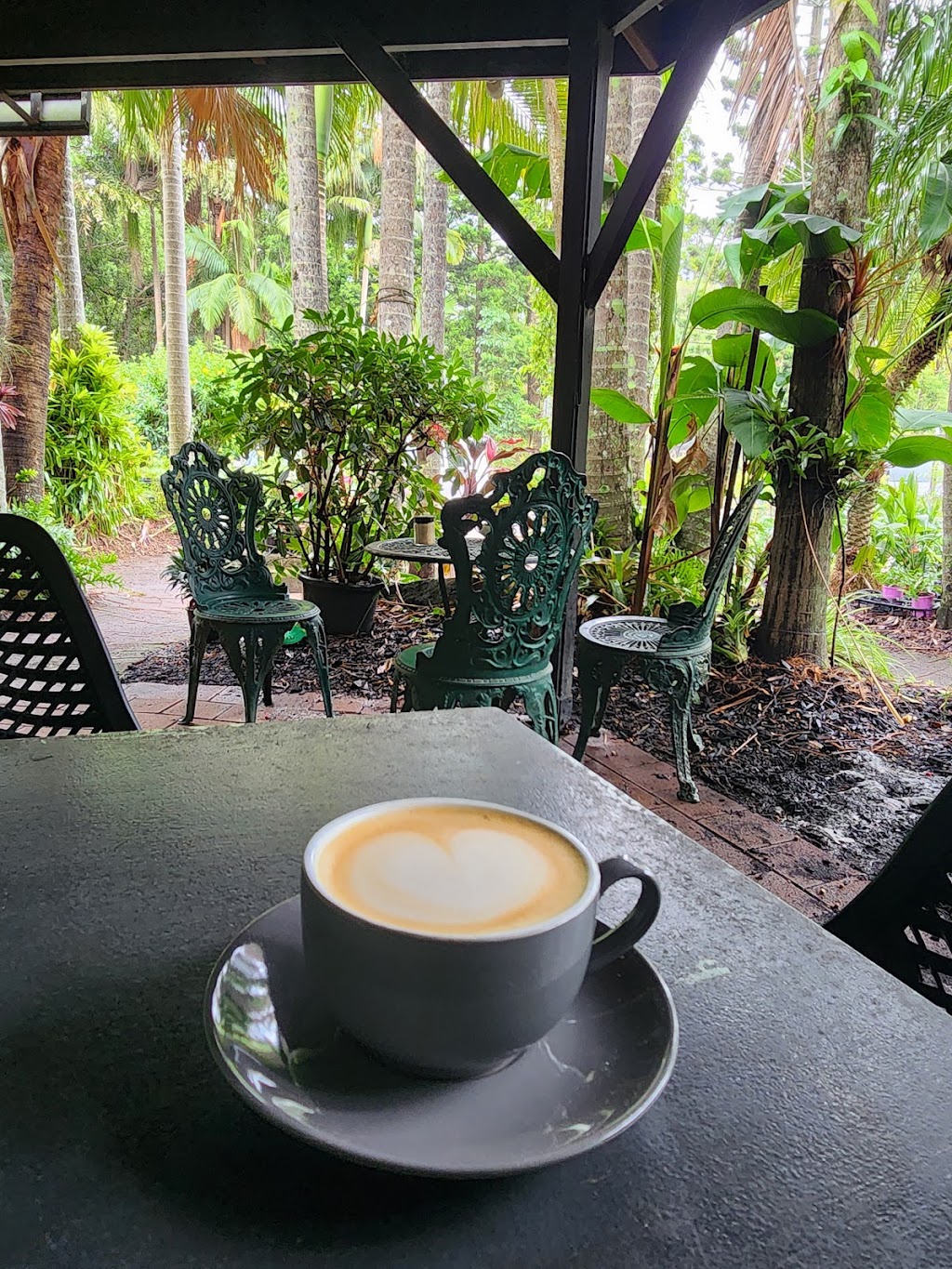 Tayzies | 2530 Coolamon Scenic Dr, Mullumbimby NSW 2482, Australia | Phone: 0485 683 760