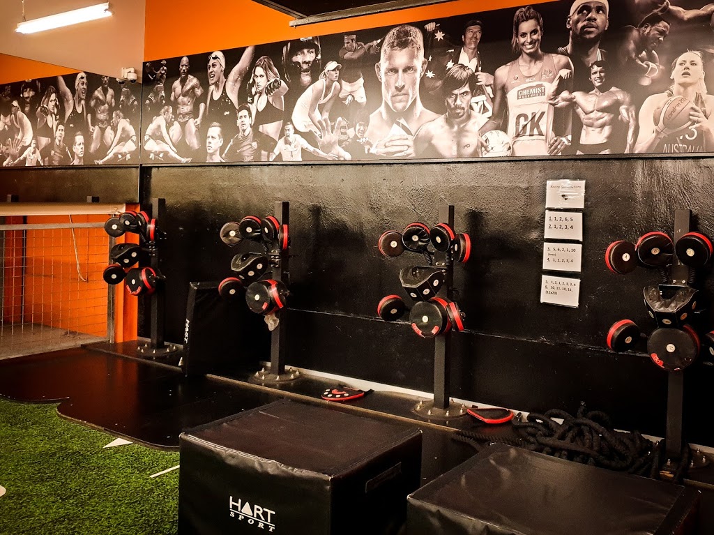FNF Forest Hill | gym | Level 3, Shop 321/270 Canterbury Rd, Forest Hill VIC 3131, Australia | 0399997610 OR +61 3 9999 7610
