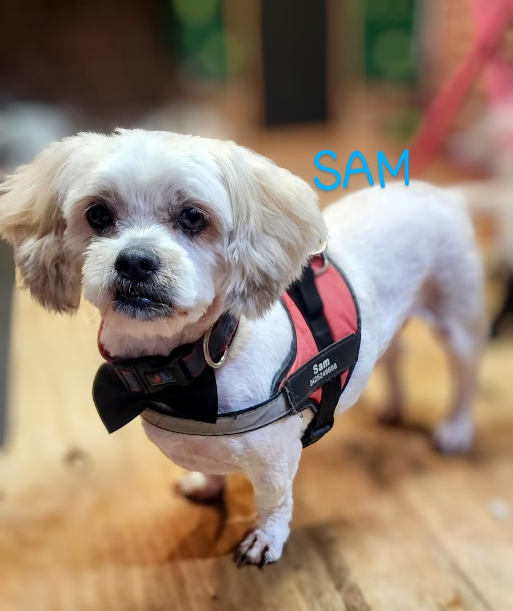 LA PETIT DOG GROOMING | 27 Lexington Ave, St Clair NSW 2759, Australia | Phone: (02) 9834 2555