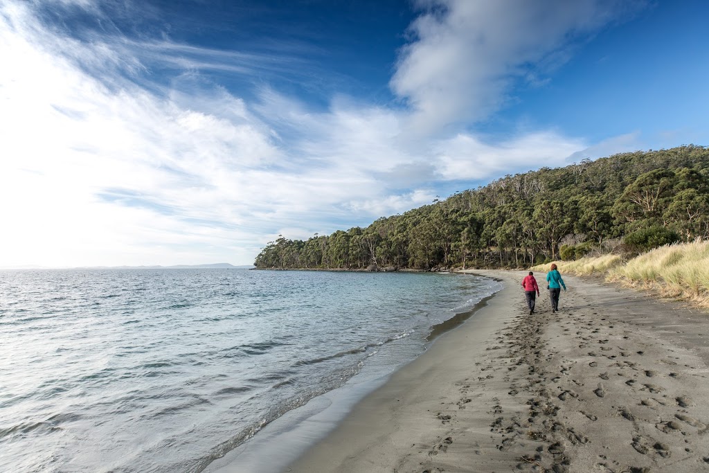 Bruny Island Bushwalking & Nature Tour | 7 Station Ln, Sorell TAS 7172, Australia | Phone: (03) 6144 3045