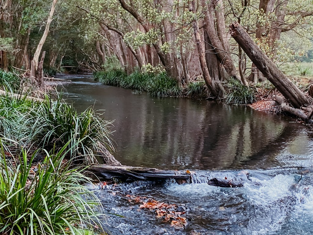 Tallowwood Cottage | 309 Mount Browne Rd, Upper Orara NSW 2450, Australia | Phone: 0405 077 219