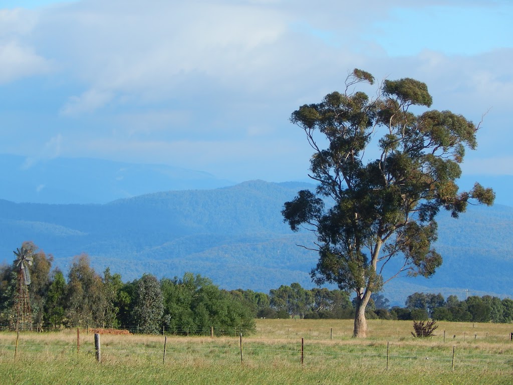 Briagolong Redgum Reserve | park | Redgum Road, Briagolong VIC 3860, Australia