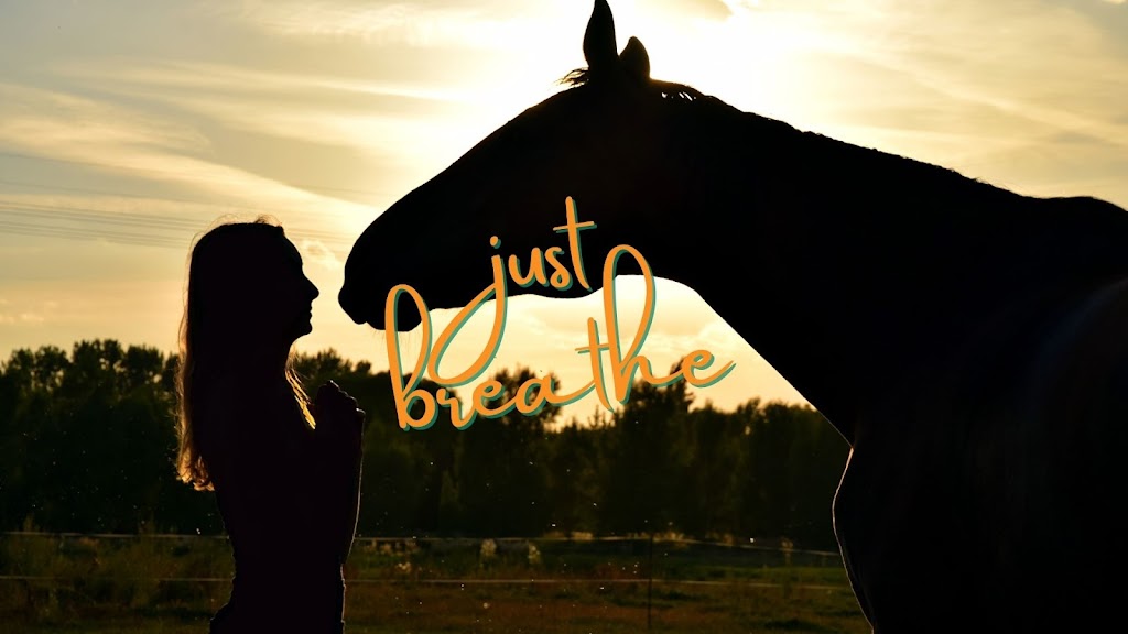 Equine Resolutions | health | 220 Flying Fox Rd, Ferny Glen QLD 4275, Australia | 0429091004 OR +61 429 091 004