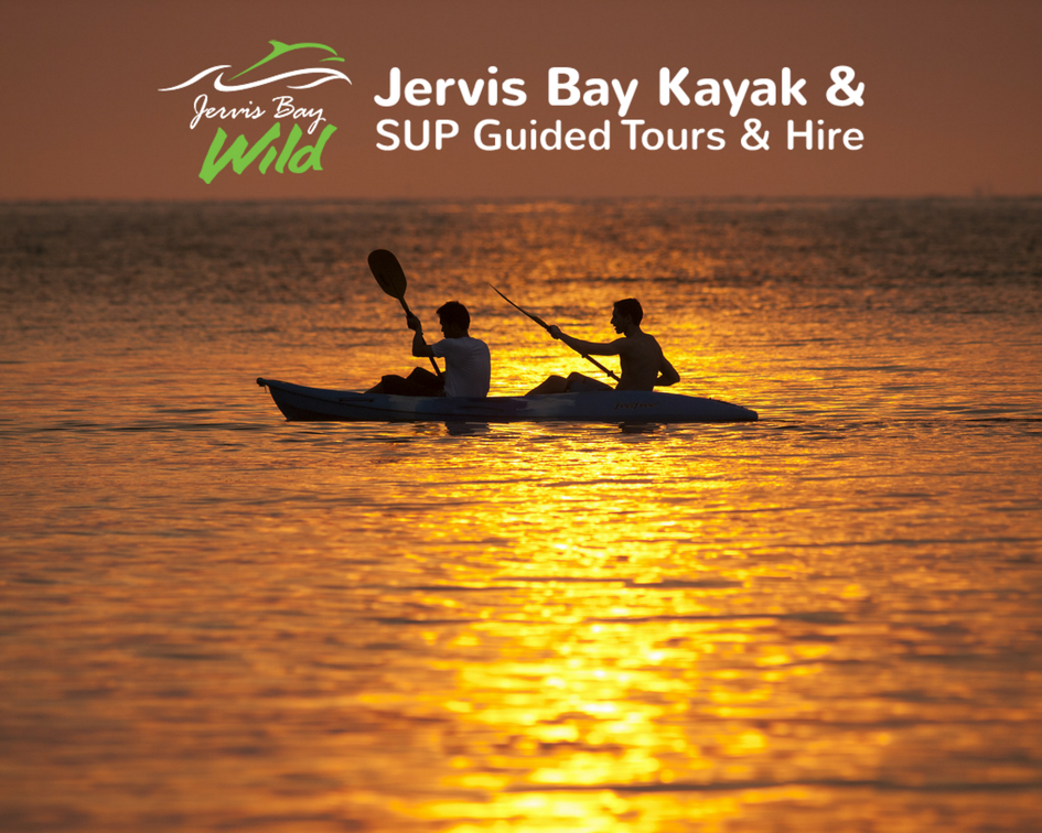 Jervis Bay Kayak Hire | travel agency | 15 Field St, Huskisson NSW 2540, Australia | 0244417002 OR +61 2 4441 7002