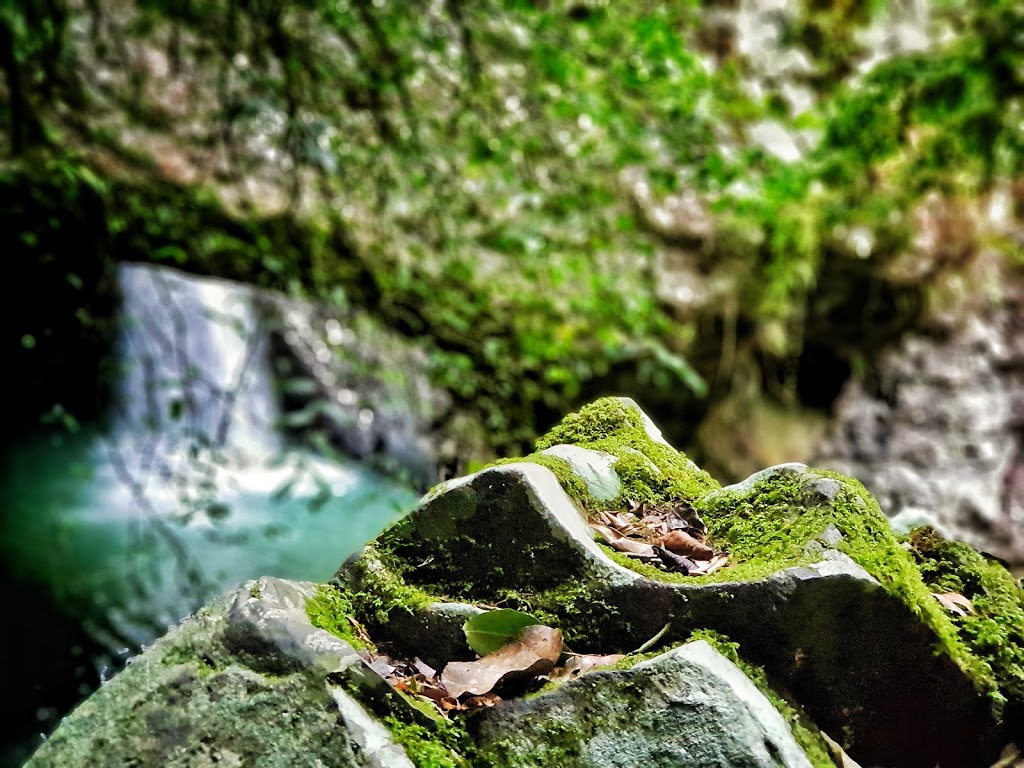 Natural Bridge | Bakers Rd, Natural Bridge QLD 4211, Australia | Phone: 13 74 68