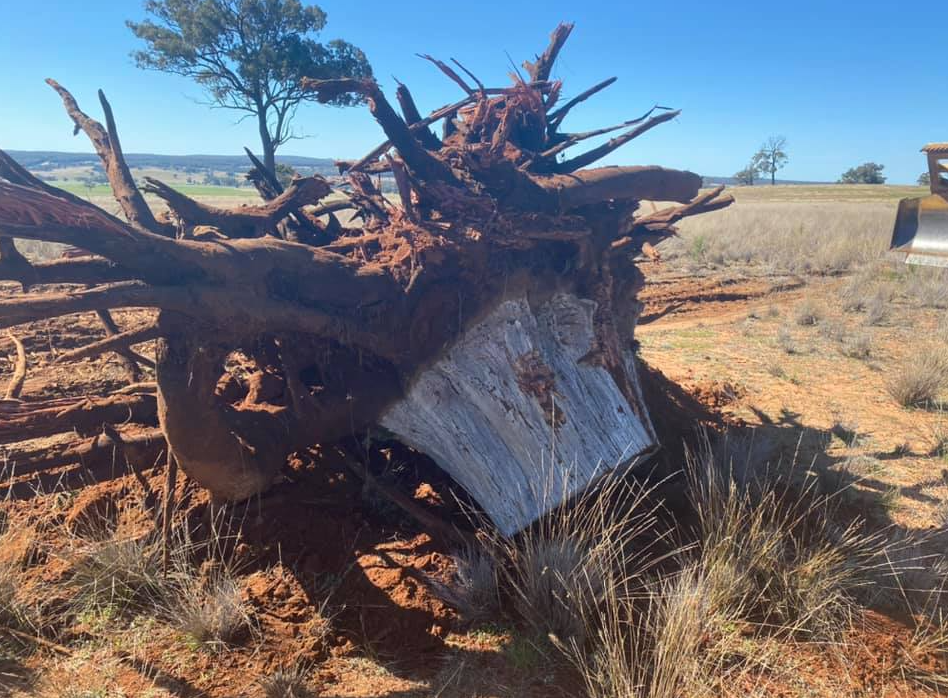 B and L Earthmoving and Rural Fencing | Boltons Creek Rd, Weetaliba NSW 2395, Australia | Phone: (02) 6105 9047