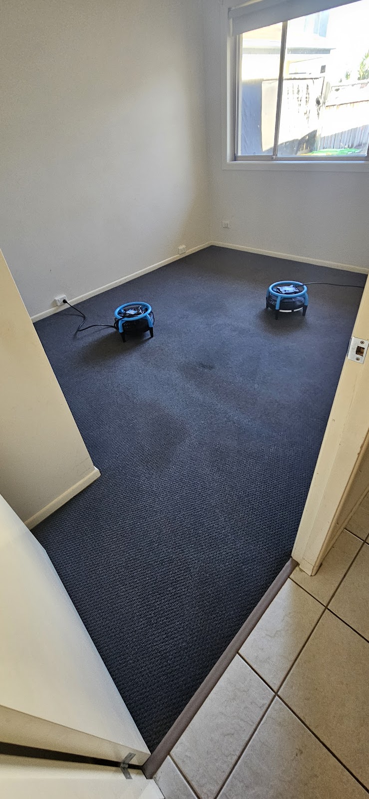 Steamboss carpet cleaning | 22 S St E, Urunga NSW 2455, Australia | Phone: 0457 351 622