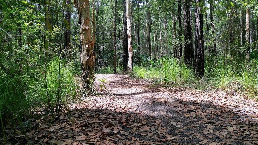 Wooroi Day Use Area | Wooroi Day Use Area, 186 Cooroy Noosa Rd, Tewantin QLD 4565, Australia