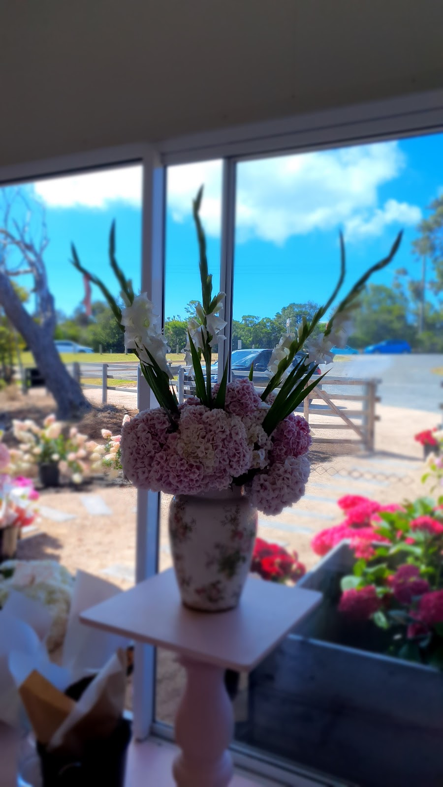 Flora By Maxiflora | 1 Samuel Amess Dr, Newhaven VIC 3925, Australia | Phone: 0403 184 134