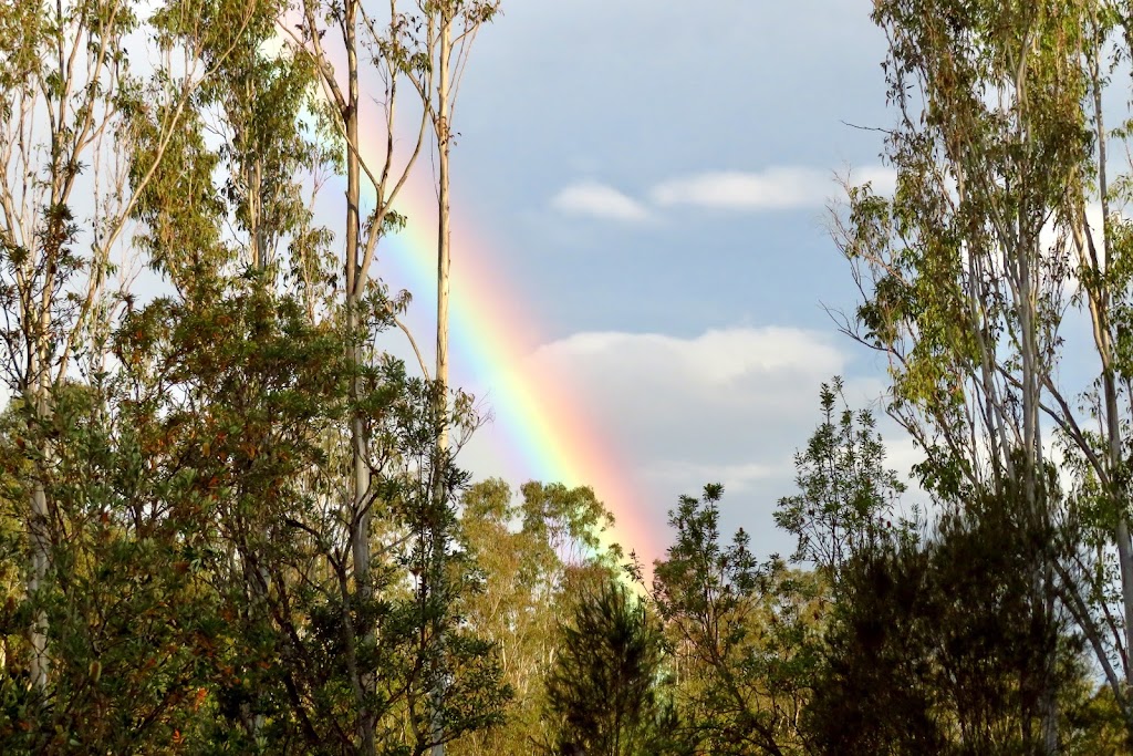 ISTARI - Australian Bush Life | 1074 Stockyard Creek Rd, Stockyard Creek NSW 2460, Australia | Phone: 0458 009 679