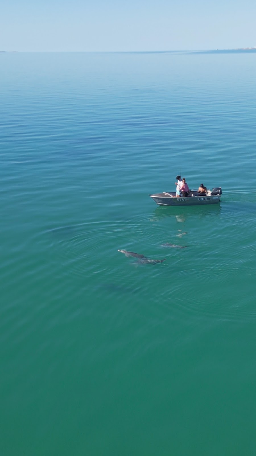 Monkey Mia Boat Hire Shark Bay | 60 Monkey Mia Rd, Denham WA 6537, Australia | Phone: 0487 421 690