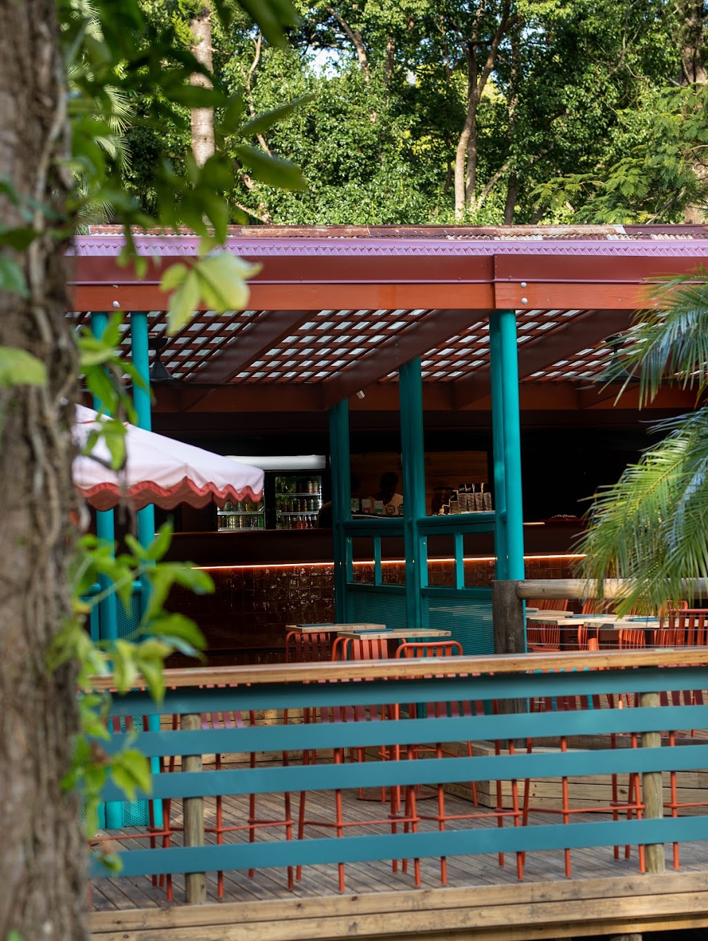 Cook Club | 55 Johns Rd, Mudgeeraba QLD 4213, Australia | Phone: 0422 921 948