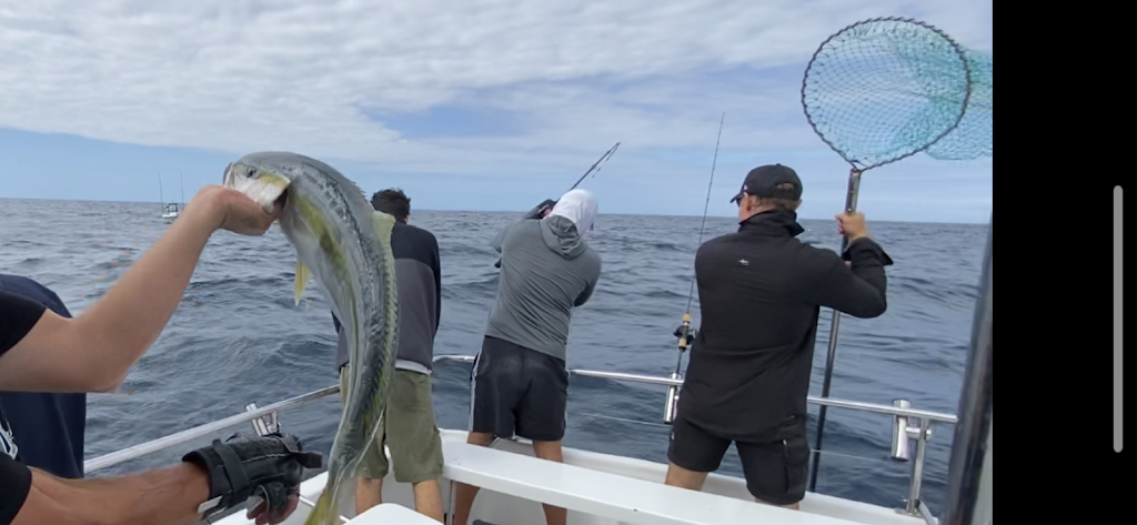 Sydney Charter Fishing | Manly Wharf, Wharf 3, Manly NSW 2095, Australia | Phone: 0450 903 390