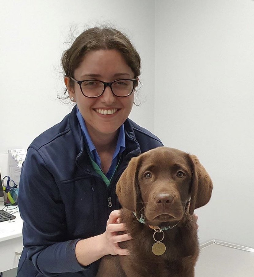 Geelong West Vet Clinic | veterinary care | 2/130 Shannon Ave, Geelong West VIC 3218, Australia | 0352808440 OR +61 3 5280 8440