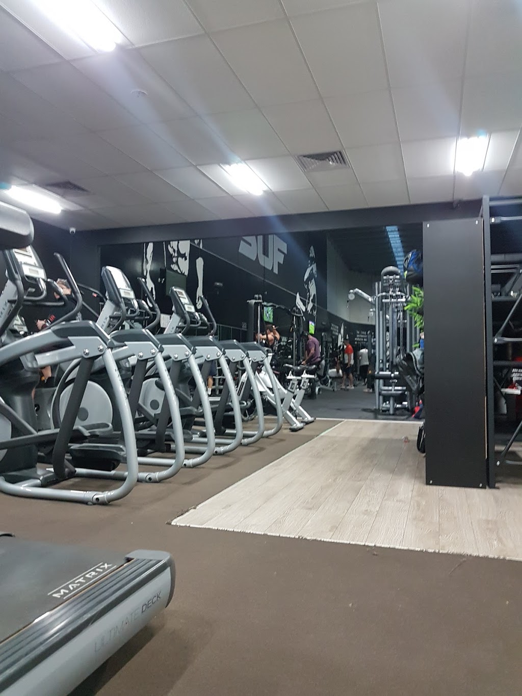 Stand Up Fitness | gym | 2-8 Northey Rd, Lynbrook VIC 3975, Australia | 0387875014 OR +61 3 8787 5014