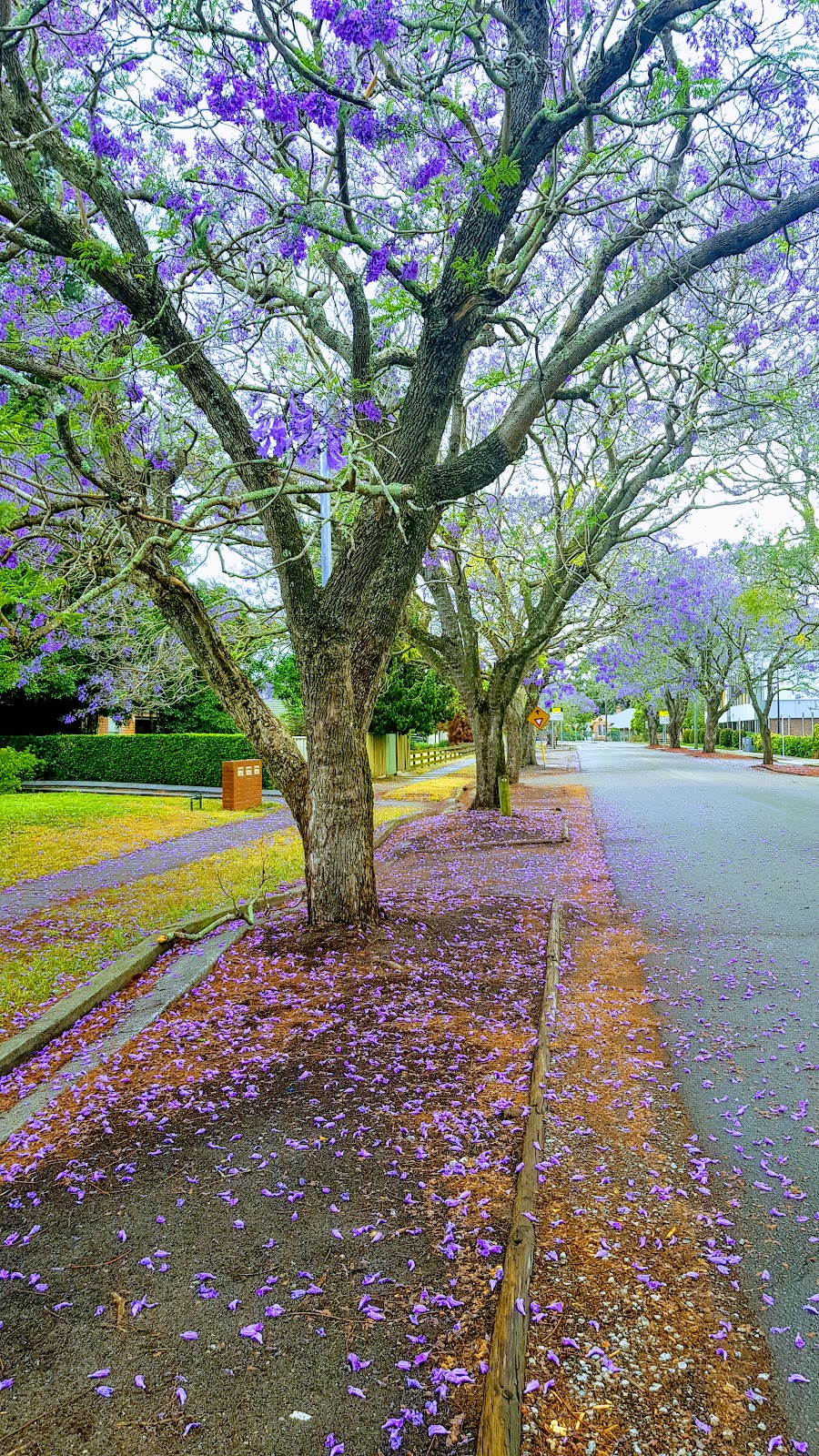 Raymond Terrace Bowling Club | 2 Jacaranda Ave, Raymond Terrace NSW 2324, Australia | Phone: (02) 4987 2404