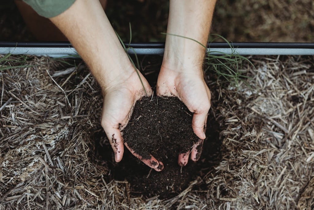 Hampus The Organic Gardener | 3322 Great N Rd, Wollombi NSW 2325, Australia | Phone: 0481 339 233