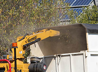Hayden Tree Service | 11 Grn Hl Rd, Cooranbong NSW 2265, Australia | Phone: 0405 100 275
