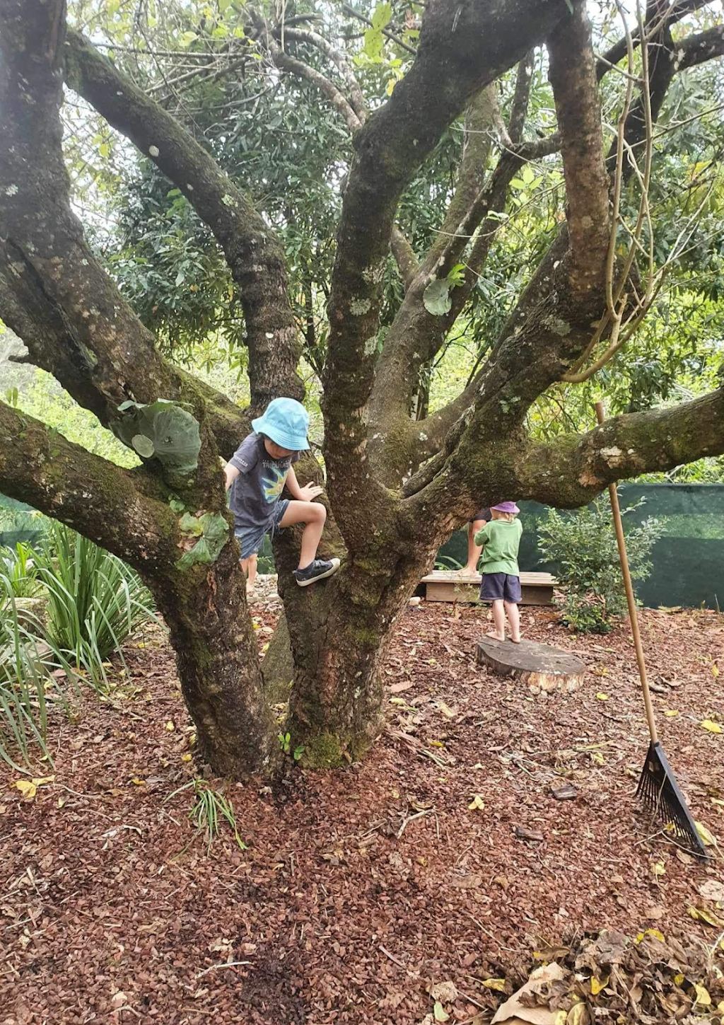 Thora Ngaarrila Preschool | 1098 Darkwood Rd, Darkwood NSW 2454, Australia | Phone: (02) 6655 8721