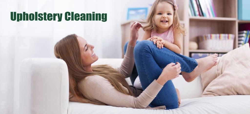 Organic Carpet Cleaning | Horsley Rd, Horsley Park NSW 2175, Australia | Phone: 0438 826 197