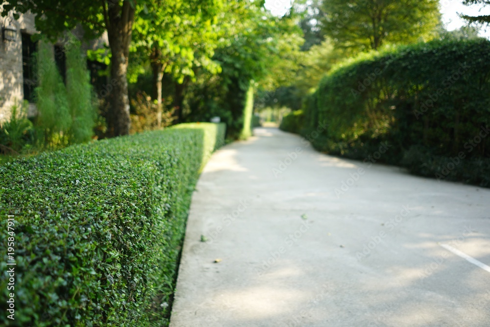 Peninsula Hedge Trimming | general contractor | 17 Bruce St, Balnarring Beach VIC 3926, Australia | 0425734904 OR +61 425 734 904