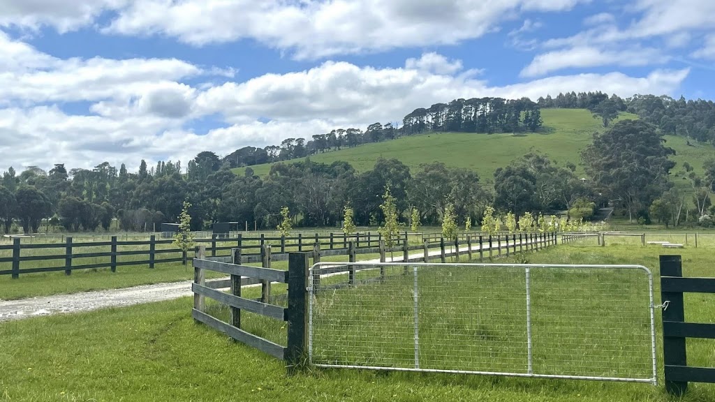 Toomah Farm Equine | 455 Toomuc Valley Rd, Pakenham VIC 3810, Australia | Phone: 0432 899 023