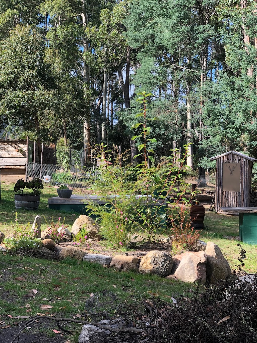 Forest and Fish | 27193 Tasman Hwy, Goulds Country TAS 7216, Australia | Phone: 0478 011 280