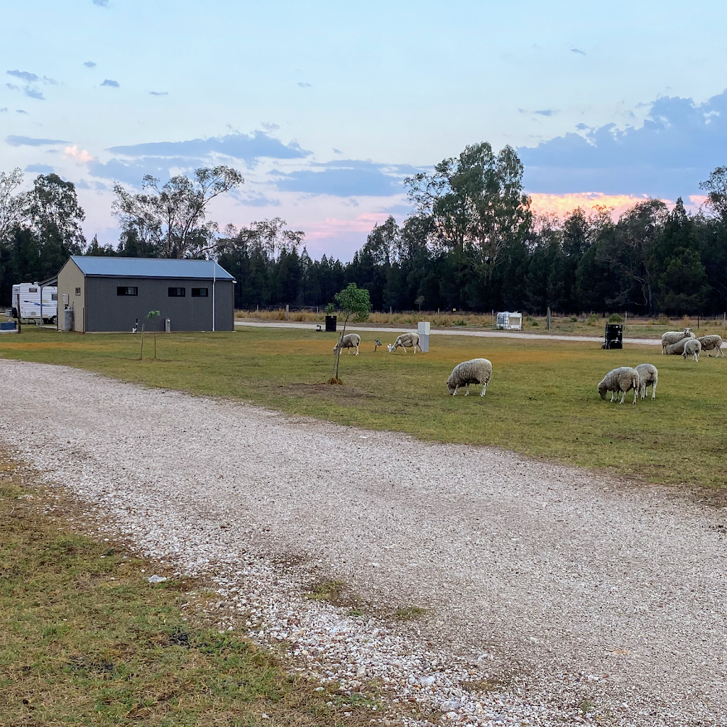 Chinchilla Country Camping | rv park | Auburn Rd, Chinchilla QLD 4413, Australia | 0434666130 OR +61 434 666 130