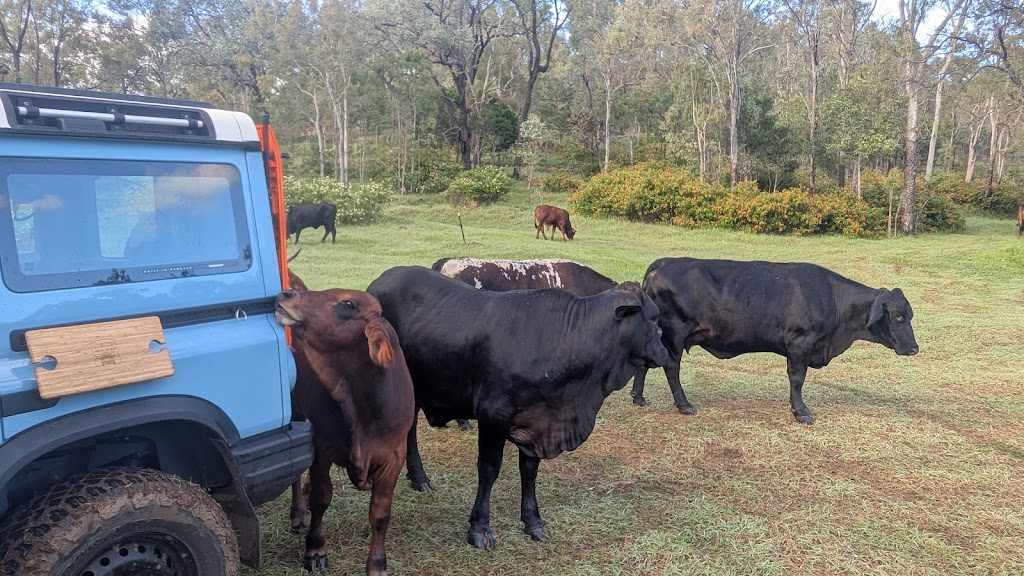 Black Duck Valley 4x4 | 15 Browns Rd, East Haldon QLD 4343, Australia | Phone: 0434 405 755