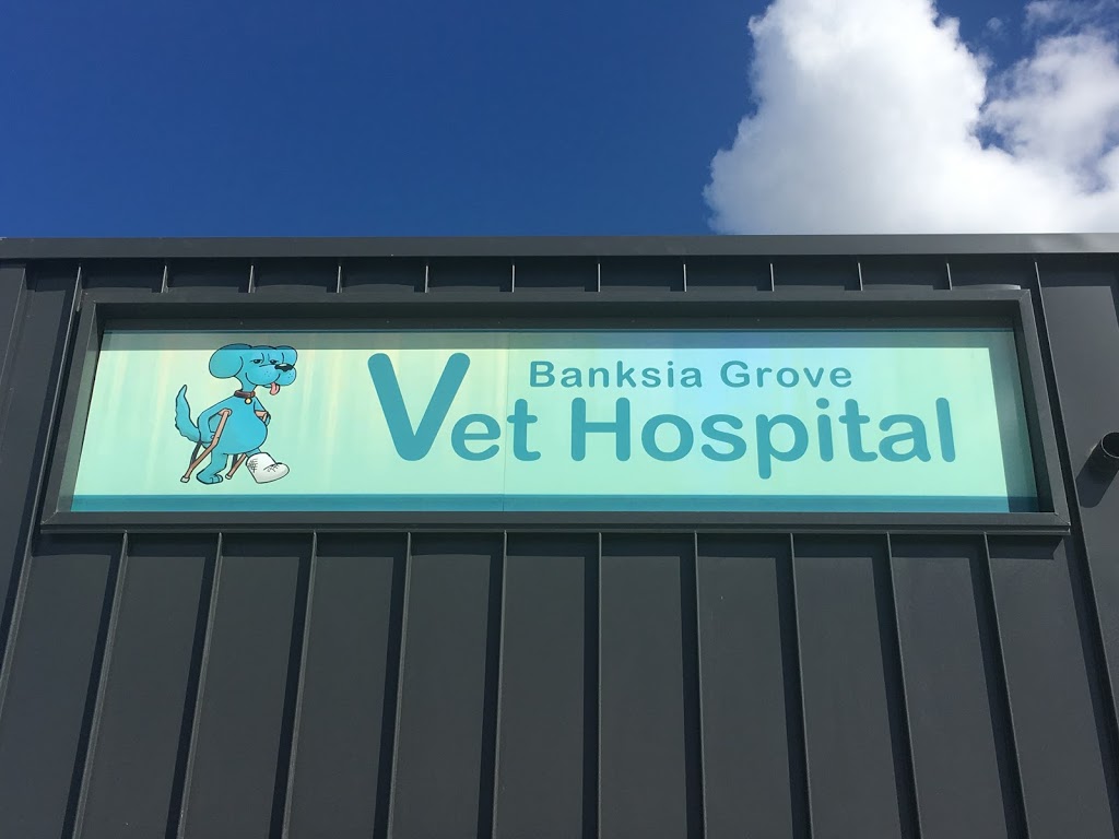 Banksia Grove Veterinary Hospital | 1001 Joondalup Dr, Banksia Grove WA 6031, Australia | Phone: (08) 9306 2555