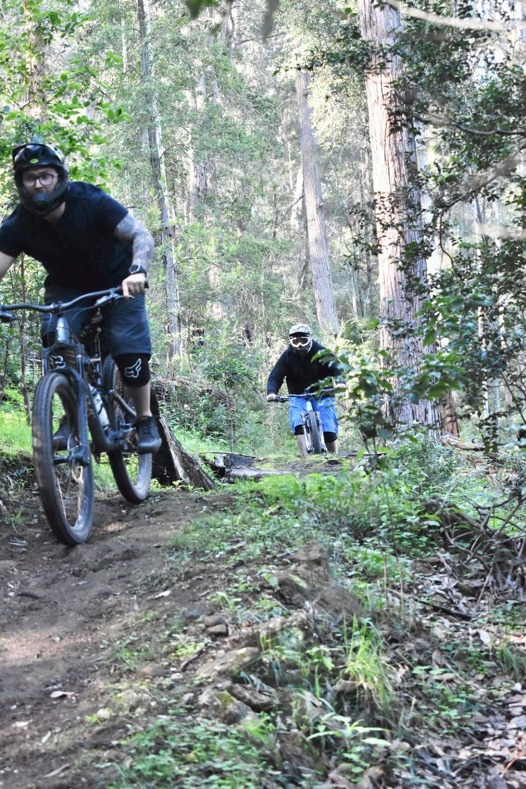 Kamameja MTB | Bulga Trail, Dural NSW 2330, Australia | Phone: 0427 500 170