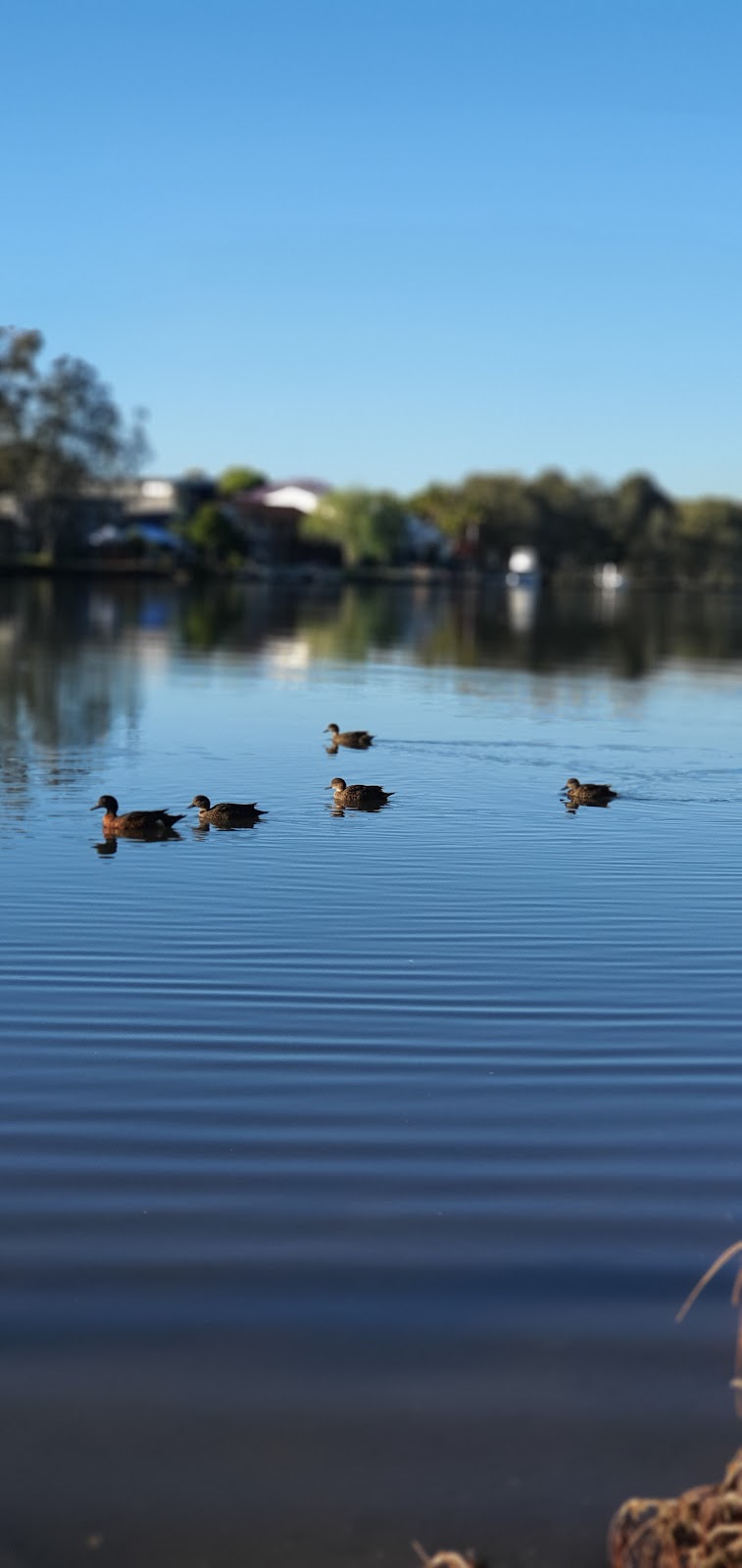 Dawn To Dusk River Retreat | 230 Dora St, Dora Creek NSW 2264, Australia | Phone: 1300 737 045