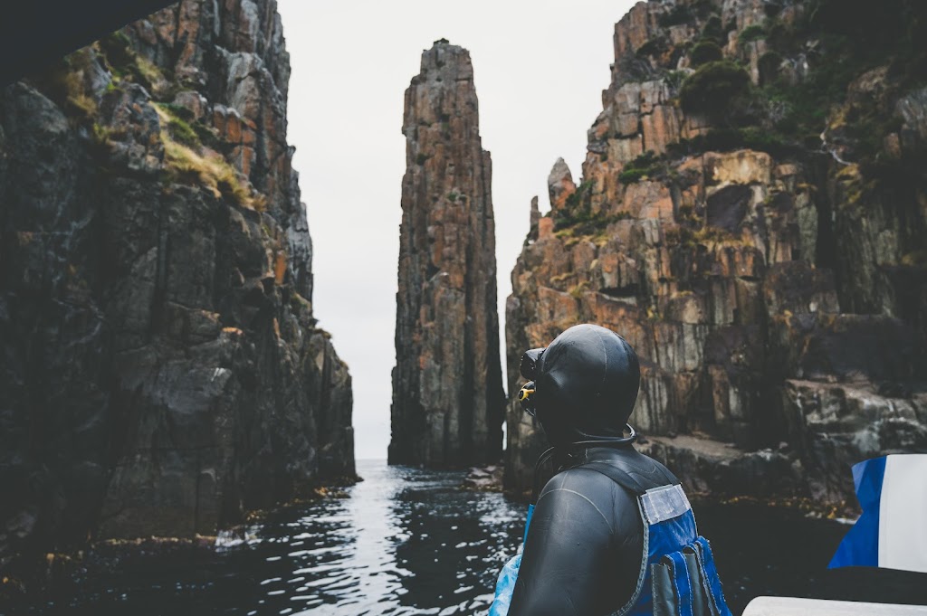 Candy Abalone | 21 Pothana Rd, Electrona TAS 7054, Australia | Phone: 0419 562 716