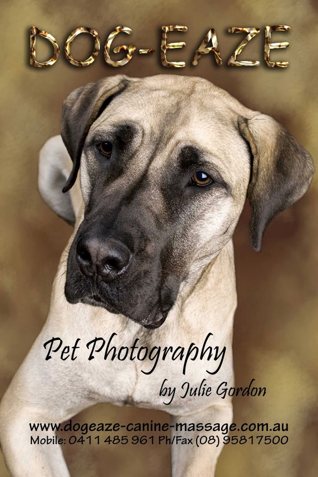 Dogeaze Pet Photography | Lymon Rd, Mandurah WA 6210, Australia | Phone: 0411 485 961